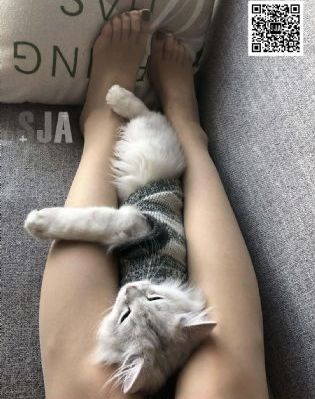 大唐女法医免费观看全集完整版_超清超清免费观看